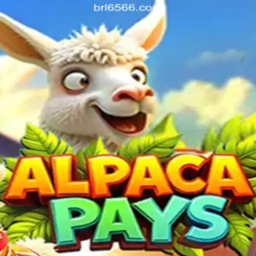 Exploring the Excitement of AlpacaPays on the 6566.COM Platform